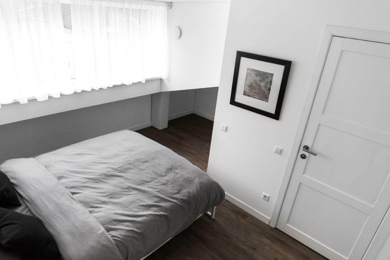Deluxe Apartments By Hostlovers Kaunas Buitenkant foto
